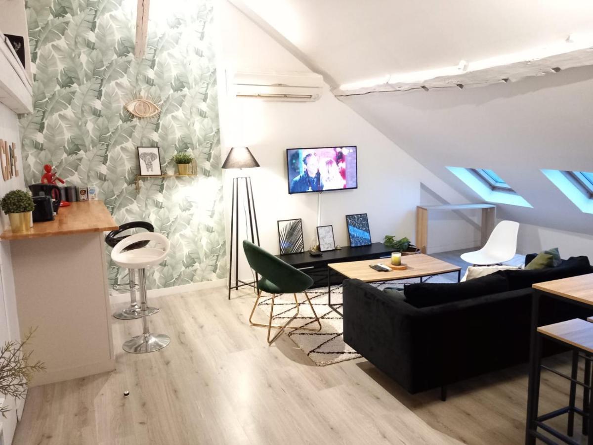 Magnifique Appartement En Hyper-Centre ! Poitiers Eksteriør bilde